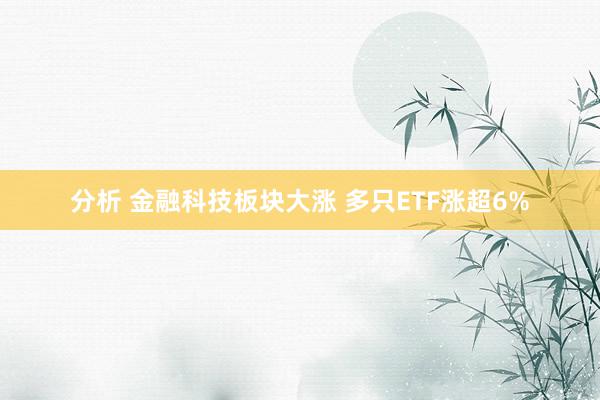 分析 金融科技板块大涨 多只ETF涨超6%