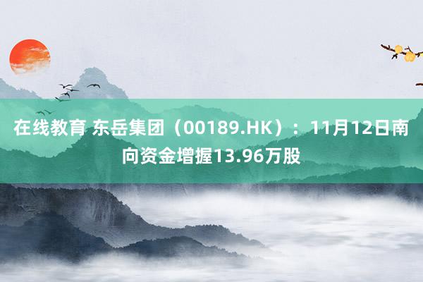 在线教育 东岳集团（00189.HK）：11月12日南向资金增握13.96万股