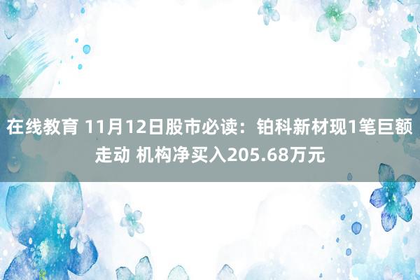 在线教育 11月12日股市必读：铂科新材现1笔巨额走动 机构净买入205.68万元