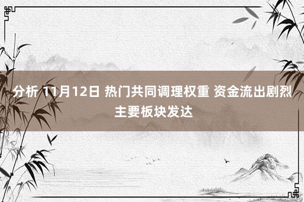 分析 11月12日 热门共同调理权重 资金流出剧烈 主要板块发达