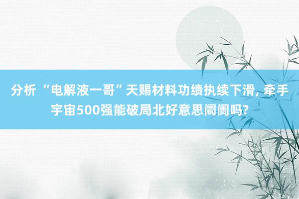 分析 “电解液一哥”天赐材料功绩执续下滑, 牵手宇宙500强能破局北好意思阛阓吗?