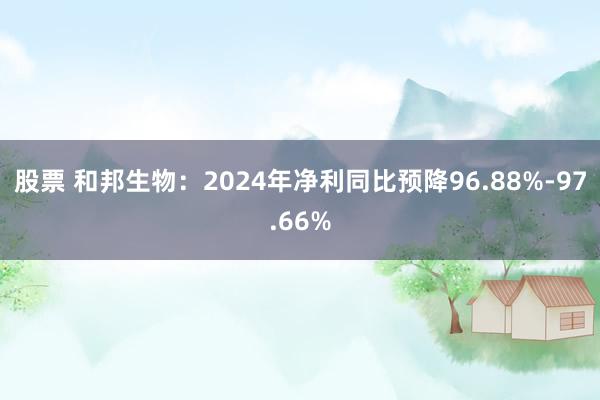 股票 和邦生物：2024年净利同比预降96.88%-97.66%