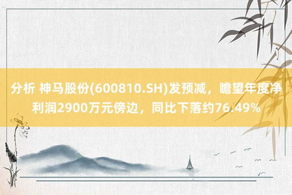 分析 神马股份(600810.SH)发预减，瞻望年度净利润2900万元傍边，同比下落约76.49%