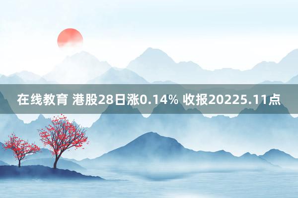 在线教育 港股28日涨0.14% 收报20225.11点