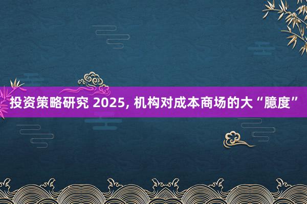 投资策略研究 2025, 机构对成本商场的大“臆度”