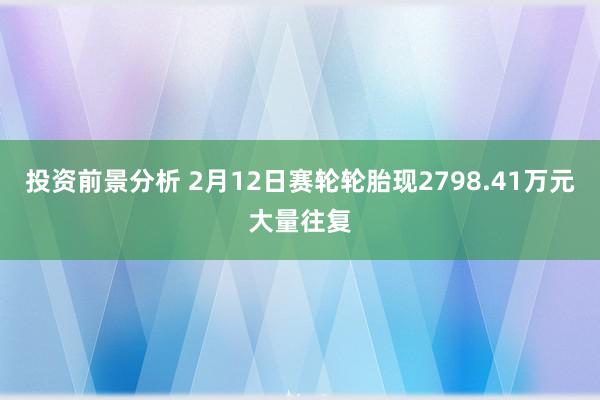 投资前景分析 2月12日赛轮轮胎现2798.41万元大量往复