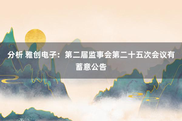 分析 雅创电子：第二届监事会第二十五次会议有蓄意公告