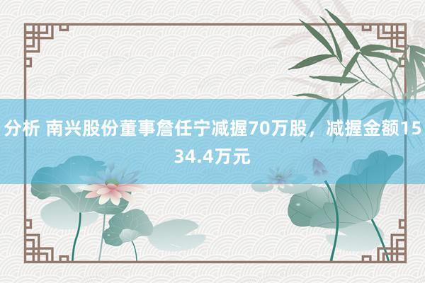 分析 南兴股份董事詹任宁减握70万股，减握金额1534.4万元