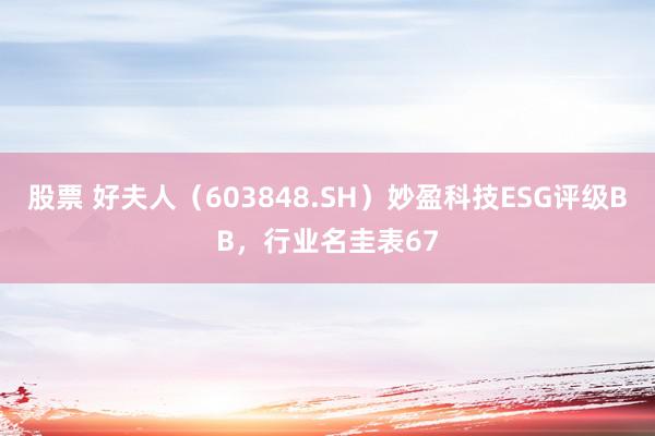 股票 好夫人（603848.SH）妙盈科技ESG评级BB，行业名圭表67