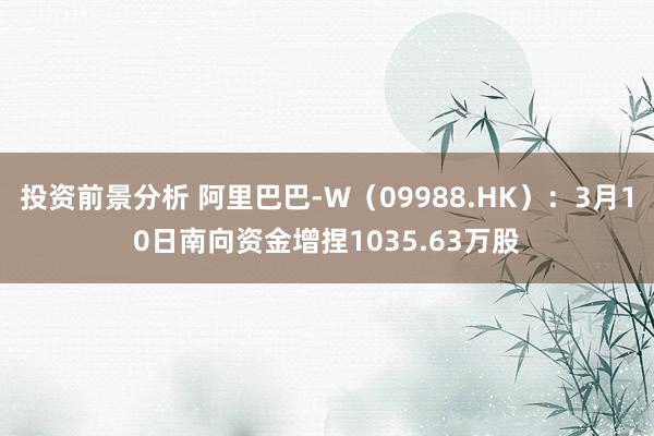 投资前景分析 阿里巴巴-W（09988.HK）：3月10日南向资金增捏1035.63万股