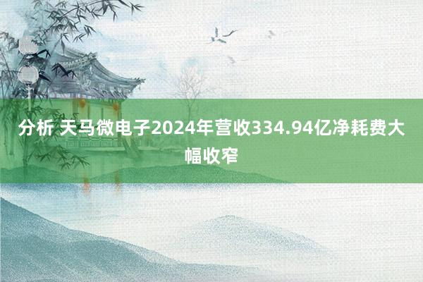 分析 天马微电子2024年营收334.94亿净耗费大幅收窄