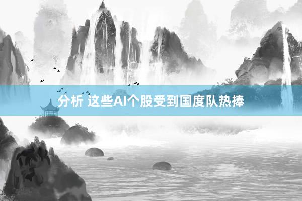 分析 这些AI个股受到国度队热捧